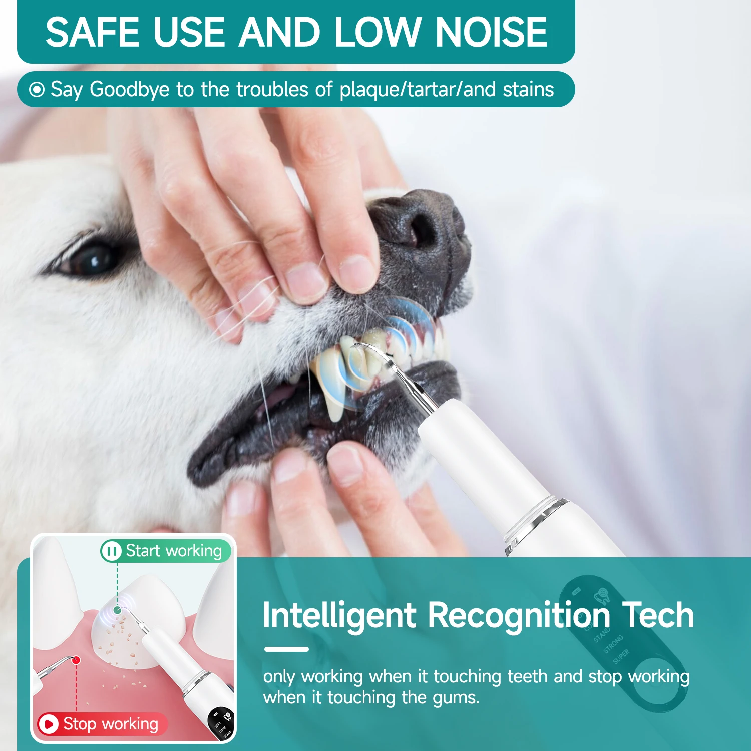 Pet Teeth Cleaning Kit Dog Ultrasonic Canine Plaque Remover for Teeth with LED Light 5 Modes USB Charge Dog Sonic Tooth Cleaner