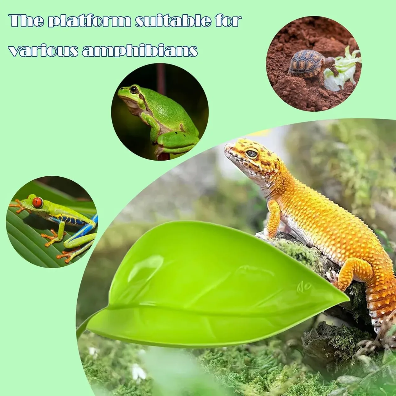 Reptile Basking Area Resting Terrace Frog Habitat Leaf Suction Cup Tank Accessories Simulated Leaves for Geckos SYXZS01 thumbnail 6