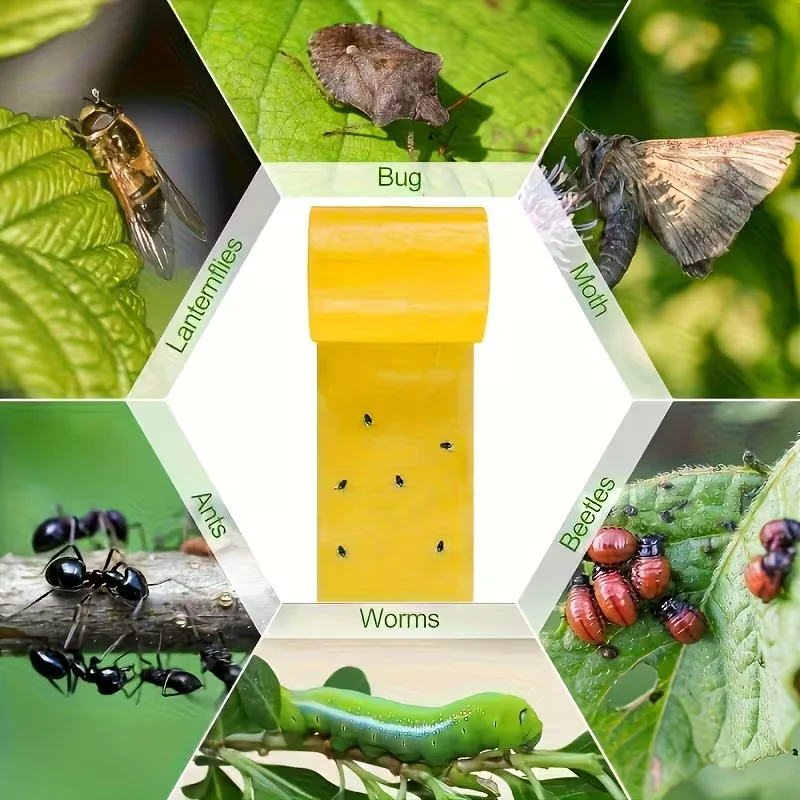 10Mx10CM Double-Sided Adhesive Insect Barrier Tape Insect Proof Trap Home Garden Supplies Pest Control Prevent Aphid Ants thumbnail 6