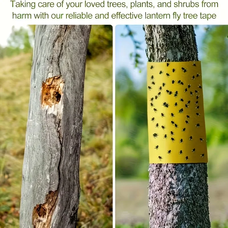 10Mx10CM Double-Sided Adhesive Insect Barrier Tape Insect Proof Trap Home Garden Supplies Pest Control Prevent Aphid Ants thumbnail 3