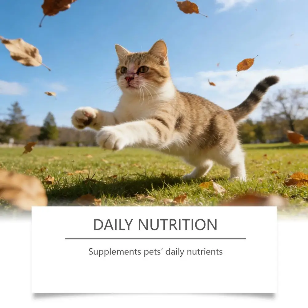 Essential Amino Acid For Cats Taurine Supplement Powder Supports Immune Wellness And Cardiac Function Feline Health Care 200g thumbnail 4
