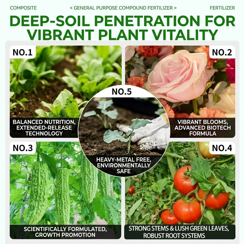 SERVAVEXA All Purpose 15-15-15 NPK Fertilizer - Complete Balanced Granular Plant Food for Vegetables, Houseplants & Shrubs thumbnail 6