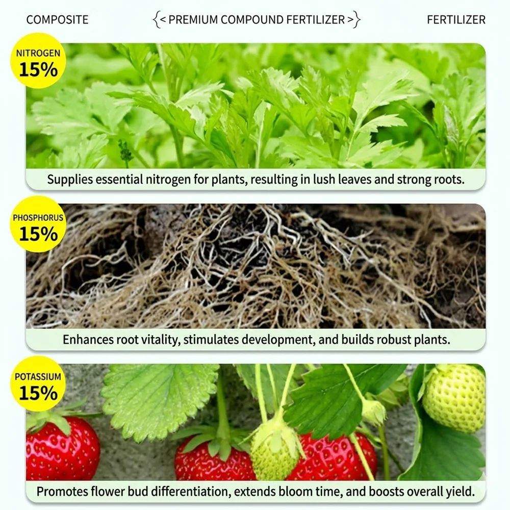 SERVAVEXA All Purpose 15-15-15 NPK Fertilizer - Complete Balanced Granular Plant Food for Vegetables, Houseplants & Shrubs thumbnail 4