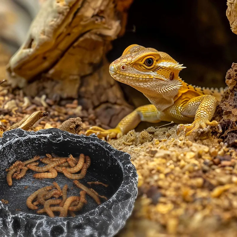 Reptile Feeding Water Bowl Realistic Stone Texture Safe Durable for Bearded Dragons Small Reptiles SYXZS03 thumbnail 3
