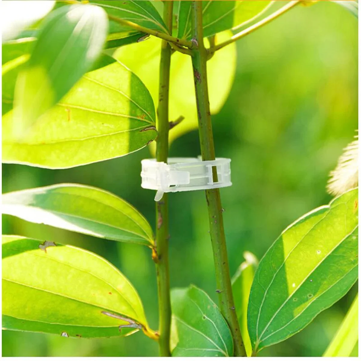 100 Pcs plant fixing clips, growth hanging devices, grafting clips, tomato vine clips, cucumber plant binding vines clips thumbnail 6