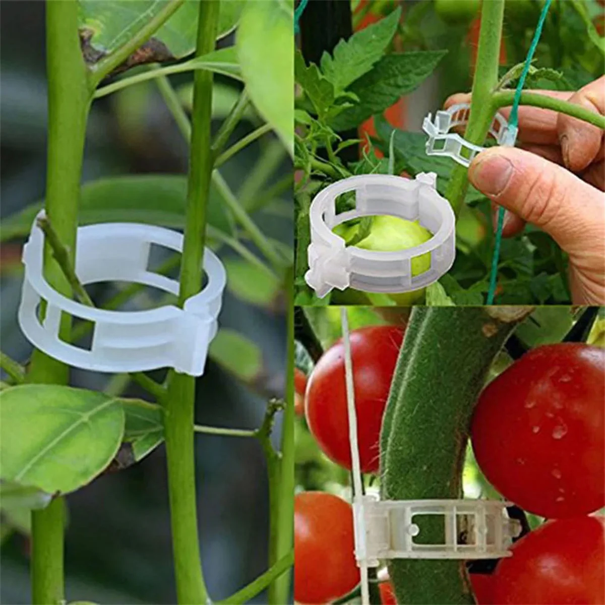 100 Pcs plant fixing clips, growth hanging devices, grafting clips, tomato vine clips, cucumber plant binding vines clips thumbnail 4