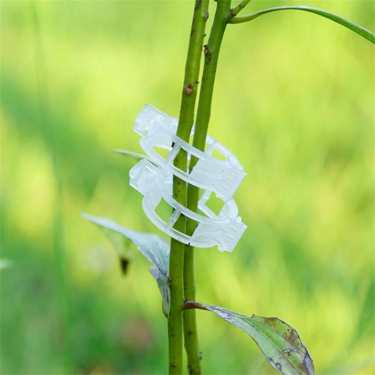 100 Pcs plant fixing clips, growth hanging devices, grafting clips, tomato vine clips, cucumber plant binding vines clips thumbnail 5