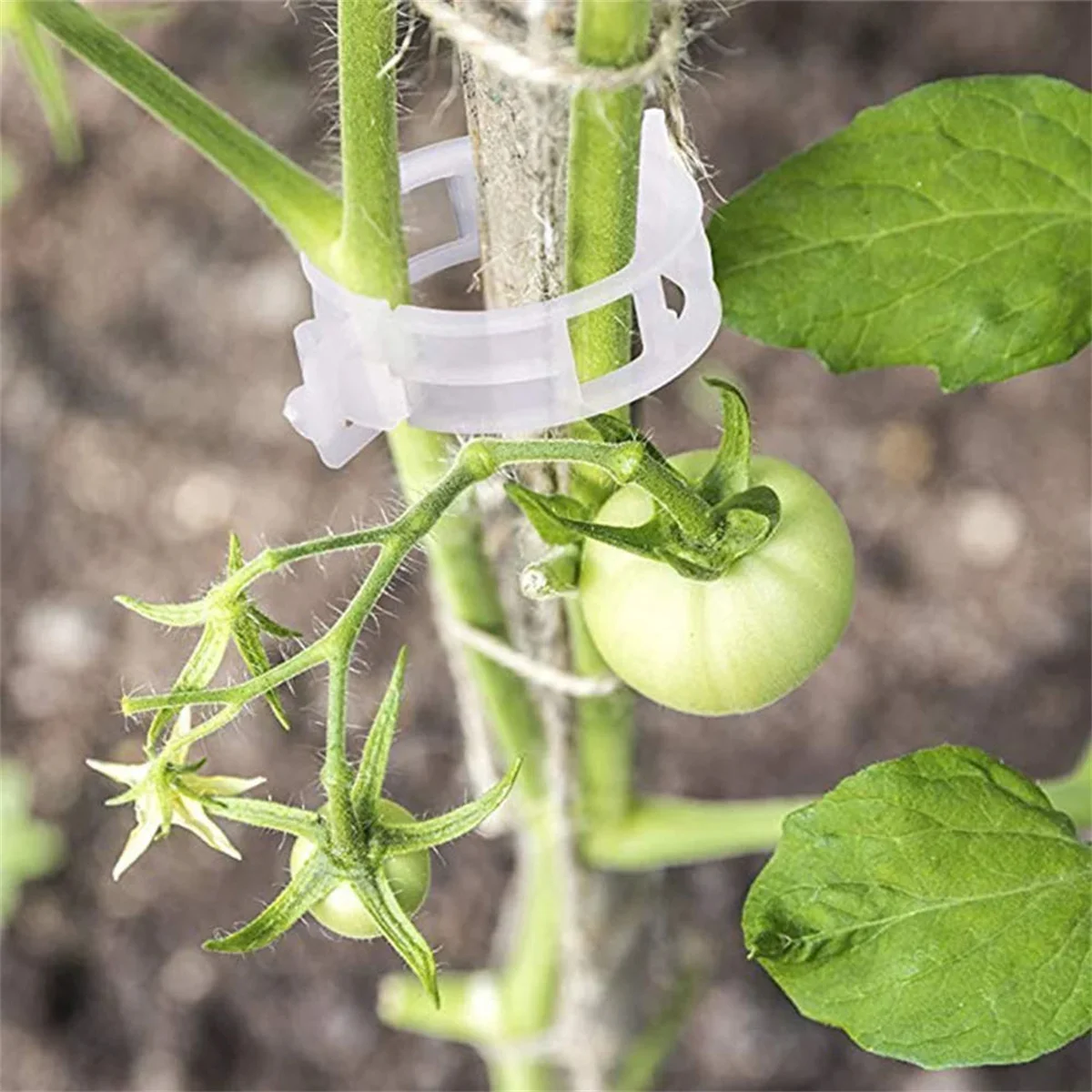 100 Pcs plant fixing clips, growth hanging devices, grafting clips, tomato vine clips, cucumber plant binding vines clips thumbnail 3