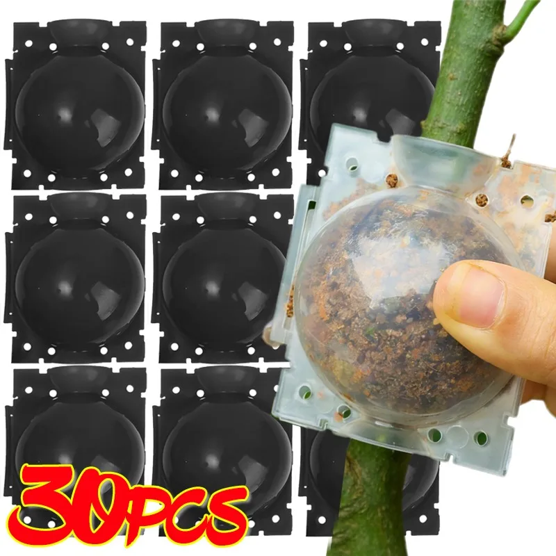 Reusable Plant Rooting Ball Grafting Tools High Pressure Plants Root Growing Box For Fruit Tree Flowers Garden Planting Supplies