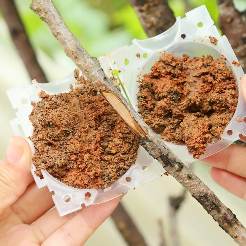 Reusable Plant Rooting Ball Grafting Tools High Pressure Plants Root Growing Box For Fruit Tree Flowers Garden Planting Supplies thumbnail 4
