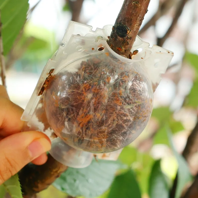 Reusable Plant Rooting Ball Grafting Tools High Pressure Plants Root Growing Box For Fruit Tree Flowers Garden Planting Supplies thumbnail 3