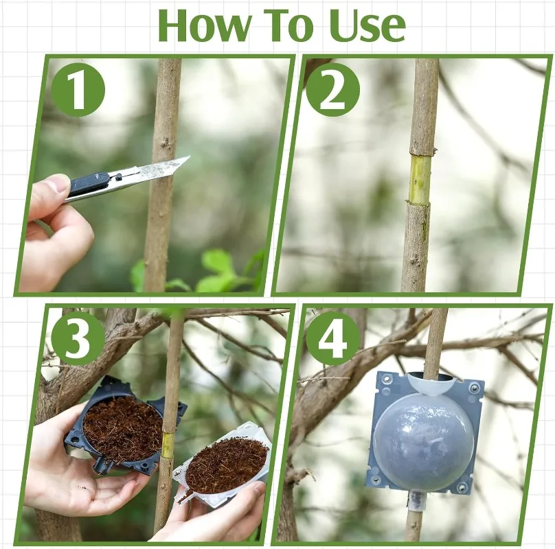 Reusable Plant Rooting Ball Grafting Tools High Pressure Plants Root Growing Box For Fruit Tree Flowers Garden Planting Supplies thumbnail 6