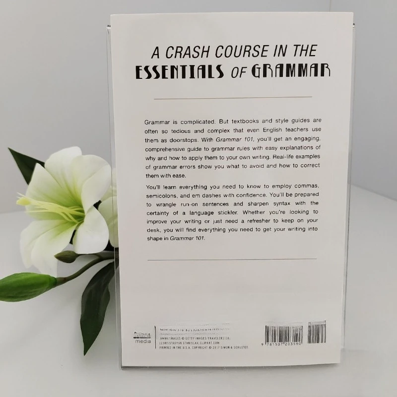 GRAMMAR 101 101 English Grammar English Edition Economic Management Class libreria philosophy books thumbnail 2