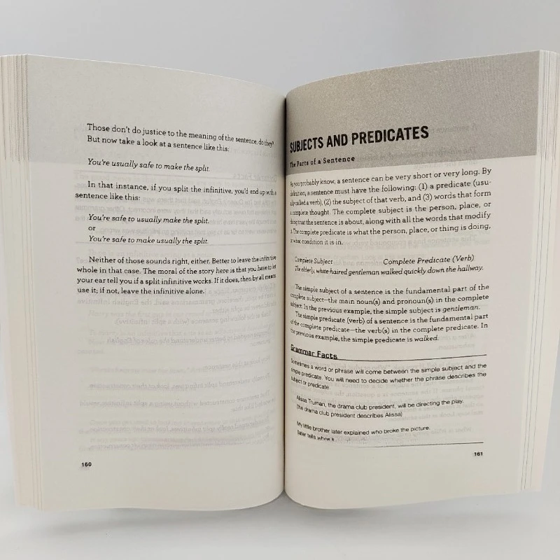 GRAMMAR 101 101 English Grammar English Edition Economic Management Class libreria philosophy books thumbnail 4