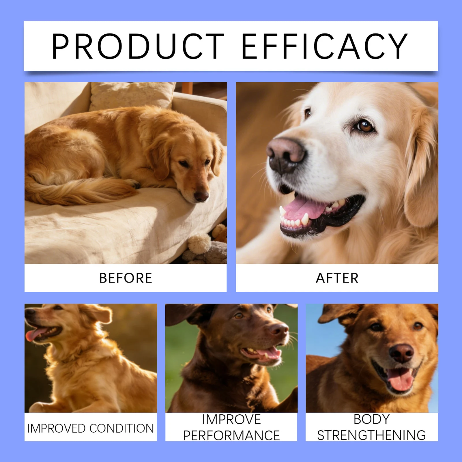100g Pet Immune Supplement Powder with Reishi Beta-Glucan Probiotics For Adult Dogs Daily Health-Care With Natural Ingredients thumbnail 5
