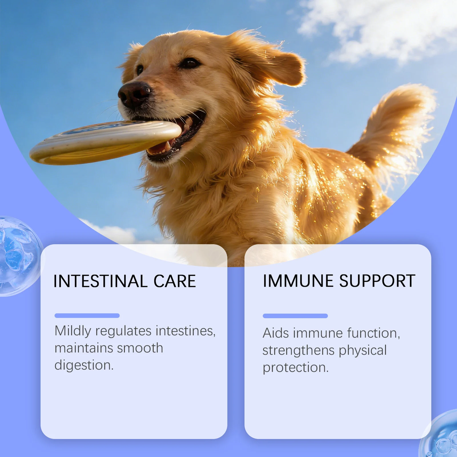 100g Pet Immune Supplement Powder with Reishi Beta-Glucan Probiotics For Adult Dogs Daily Health-Care With Natural Ingredients thumbnail 3