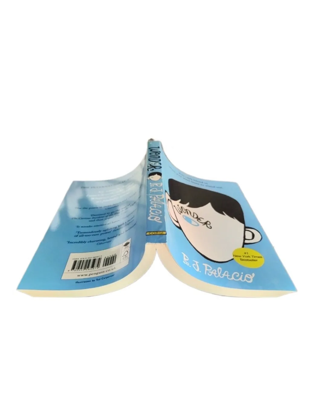 Wonder Wonder Boy English Version Original English Novel Youth Inspiration Youth Reading Book thumbnail 4