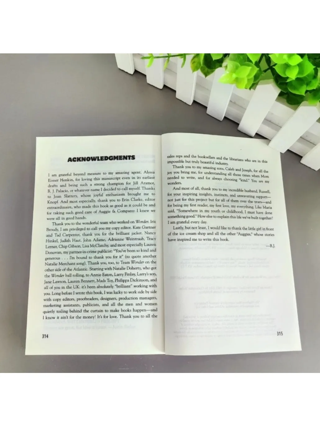 Wonder Wonder Boy English Version Original English Novel Youth Inspiration Youth Reading Book thumbnail 3
