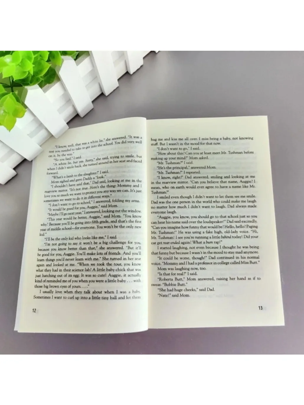 Wonder Wonder Boy English Version Original English Novel Youth Inspiration Youth Reading Book thumbnail 2