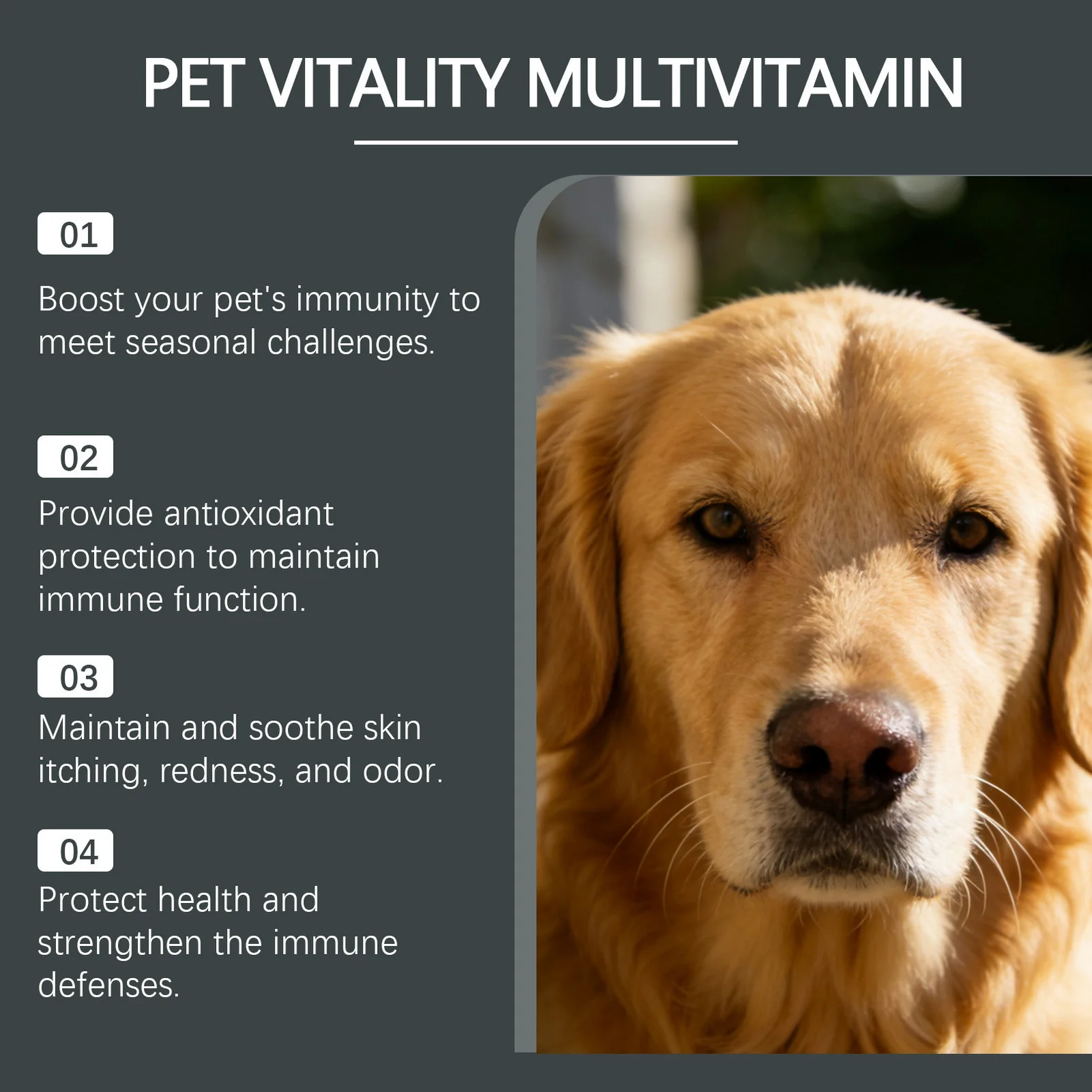 120g Dog Multivitamin Chewable Tablets Gentle Formula Nutritional Supplement For All Sizes Gentle Skin Coat Health Daily Care thumbnail 5