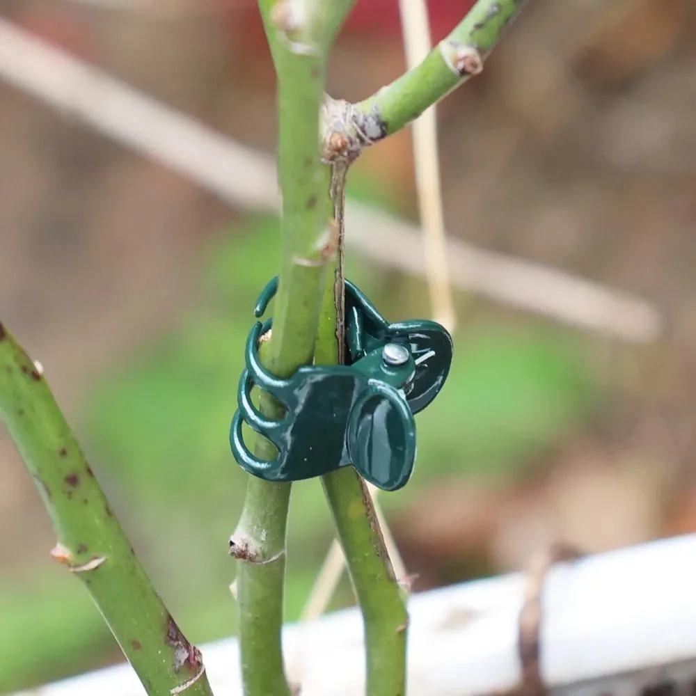 Reusable Plastic Plant Clips Garden Plant Support Clip Small Flower Vine Clips Plants Stake Flower Branch Holder Garden Supplies thumbnail 5