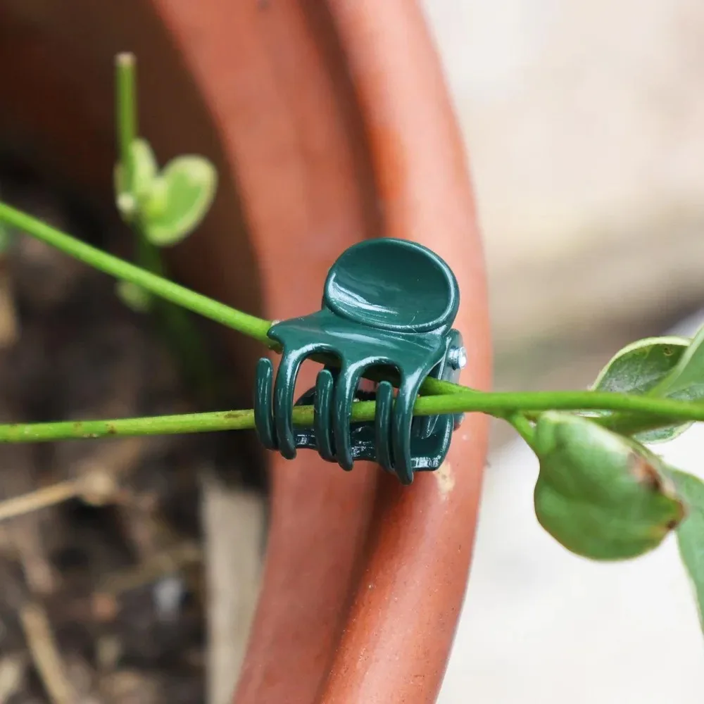 Reusable Plastic Plant Clips Garden Plant Support Clip Small Flower Vine Clips Plants Stake Flower Branch Holder Garden Supplies thumbnail 3