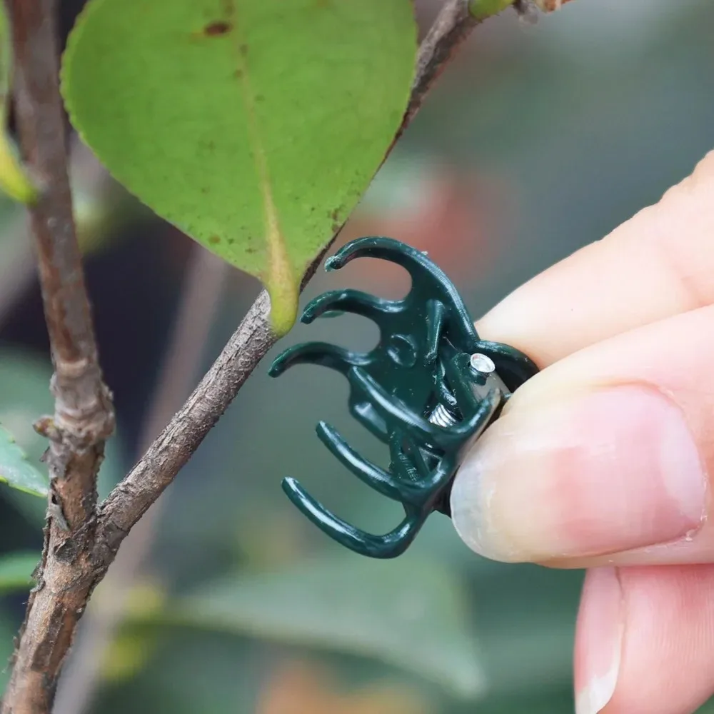 Reusable Plastic Plant Clips Garden Plant Support Clip Small Flower Vine Clips Plants Stake Flower Branch Holder Garden Supplies thumbnail 4