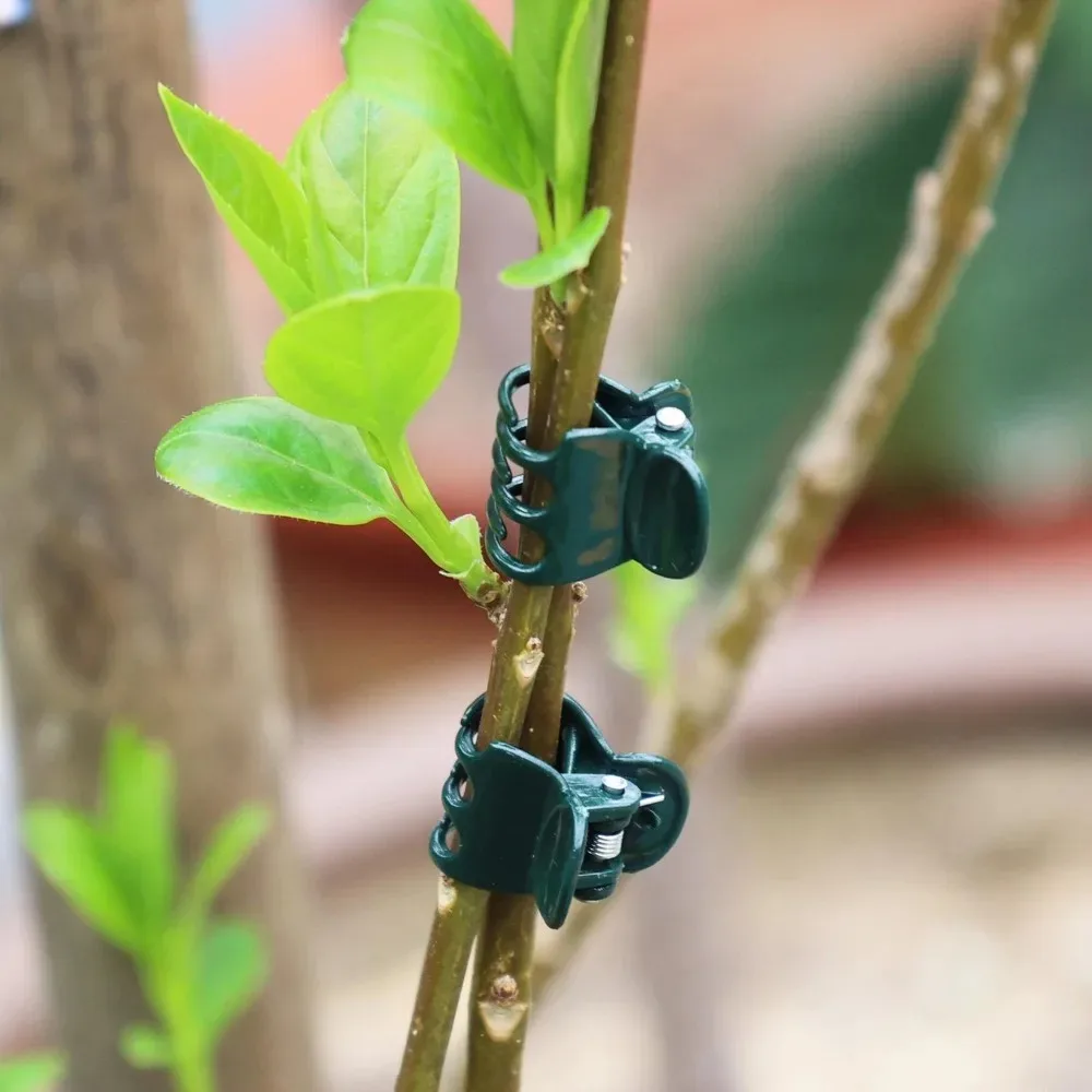 Reusable Plastic Plant Clips Garden Plant Support Clip Small Flower Vine Clips Plants Stake Flower Branch Holder Garden Supplies thumbnail 2