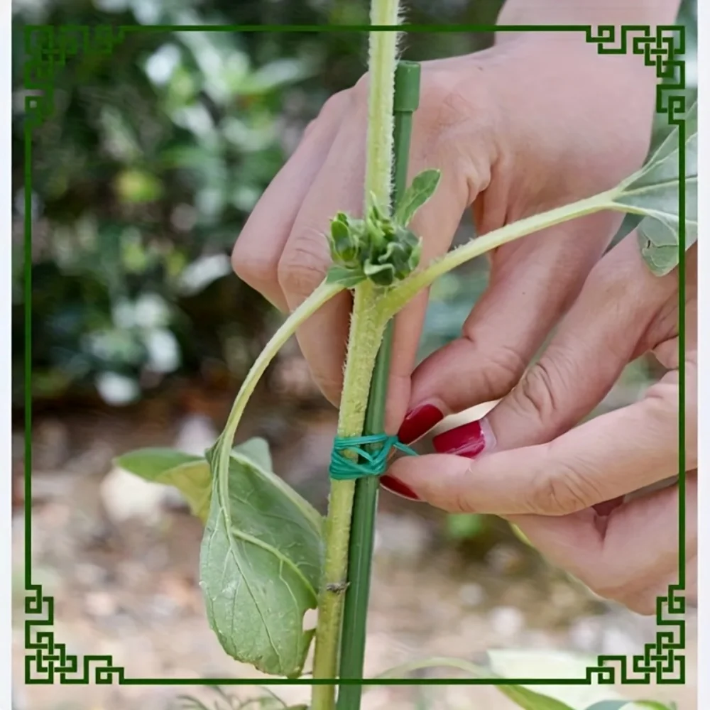 1 Multi-Functional Gardening Wire Tie, Suitable for Securing Climbing Vines, Ideal for Home Gardens, for Daily Storage and Use thumbnail 3