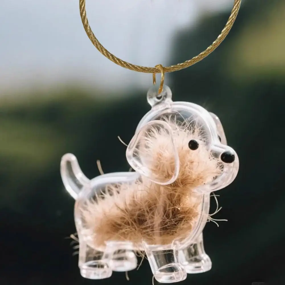 Dog Hair Storage Memorial Keepsake Pendant Backpack Keychain Pet Hair Fur Capsule Key Pendant Transparent Fur Collection Box thumbnail 5