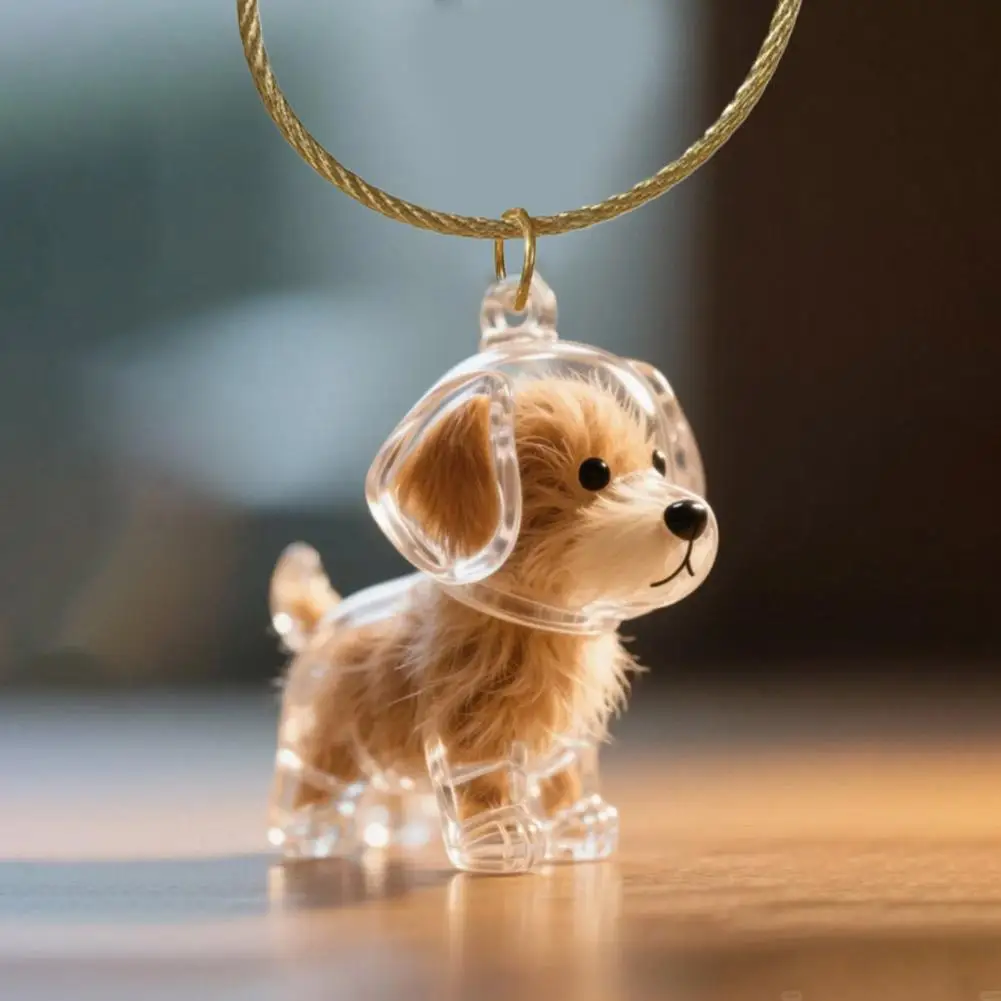 Dog Hair Storage Memorial Keepsake Pendant Backpack Keychain Pet Hair Fur Capsule Key Pendant Transparent Fur Collection Box thumbnail 2