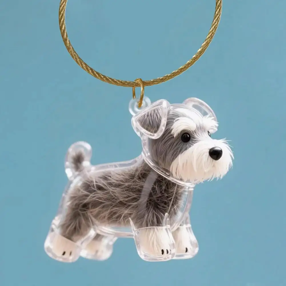 Dog Hair Storage Memorial Keepsake Pendant Backpack Keychain Pet Hair Fur Capsule Key Pendant Transparent Fur Collection Box thumbnail 4