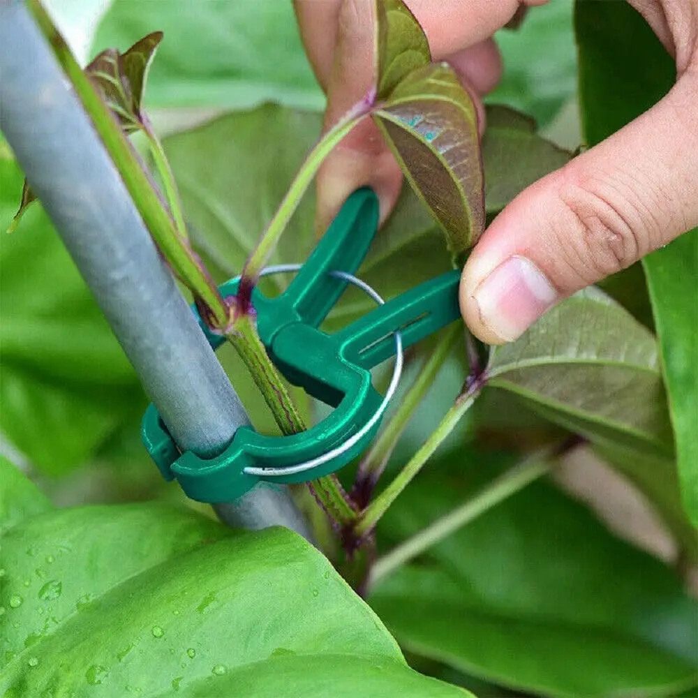 Garden Plant Clips, Plant Support Clips for Securing Stems, Flowers or Climbing Vines To Tomato Cages thumbnail 4