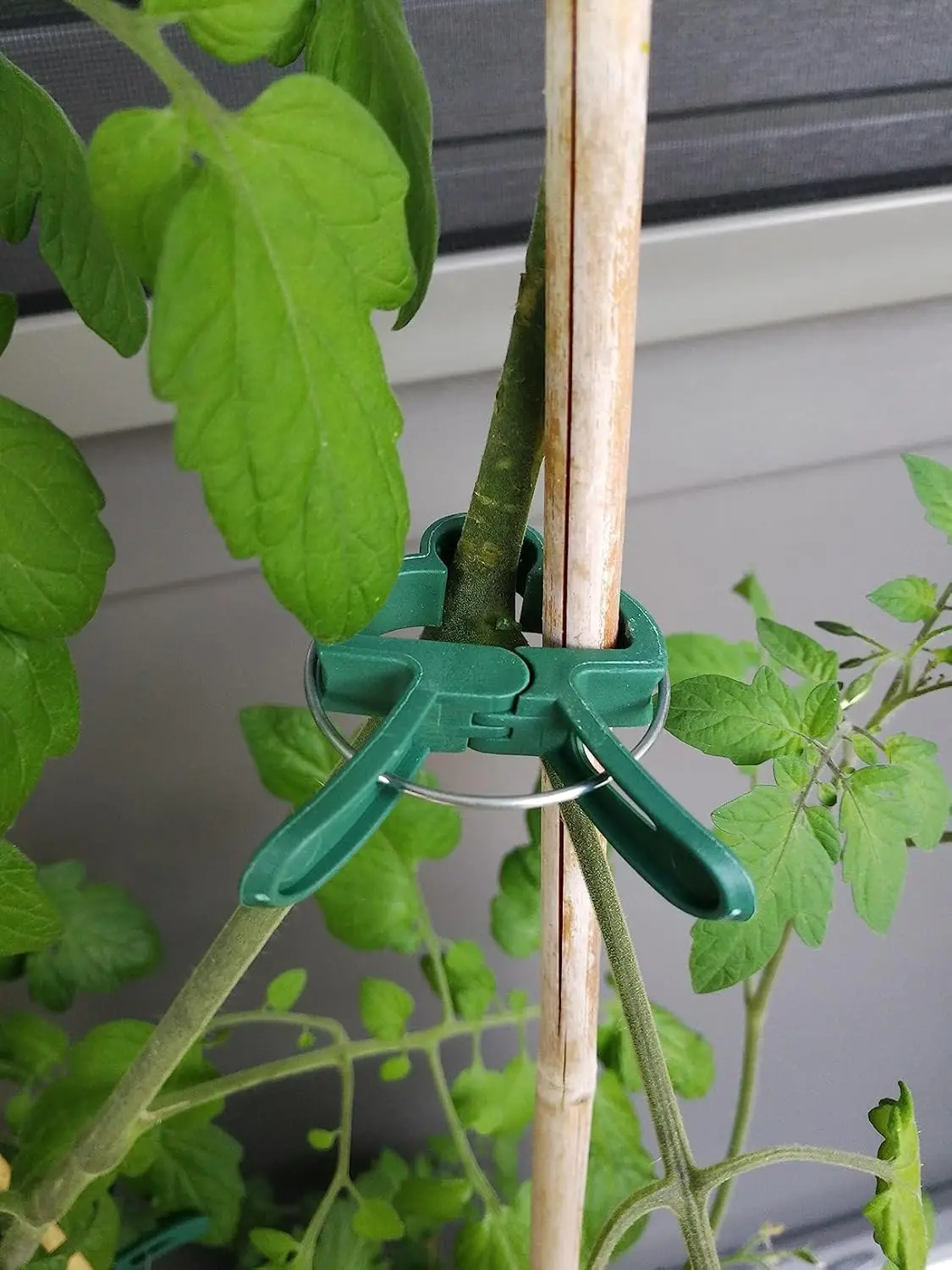 Garden Plant Clips, Plant Support Clips for Securing Stems, Flowers or Climbing Vines To Tomato Cages thumbnail 6