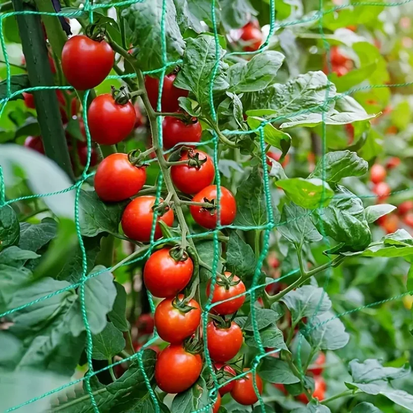 Plant Trellis Pergolas, Heavy-Duty Polyester Grow Net, Garden Trellis Netting With Square Mesh For Climbing Plants, Vegetables, thumbnail 6