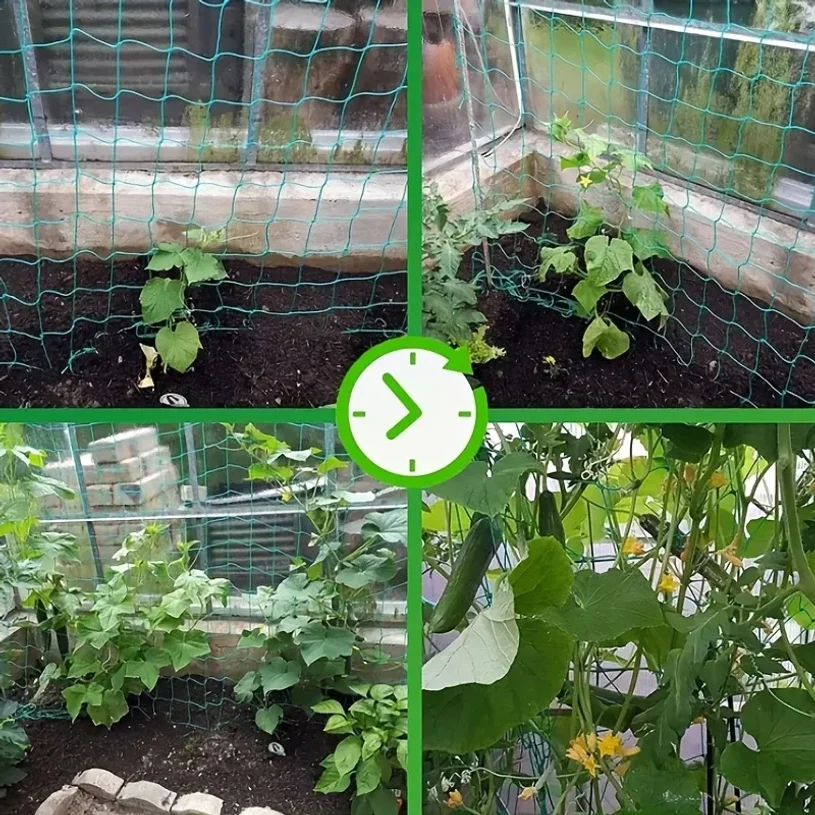 Plant Trellis Pergolas, Heavy-Duty Polyester Grow Net, Garden Trellis Netting With Square Mesh For Climbing Plants, Vegetables, thumbnail 3