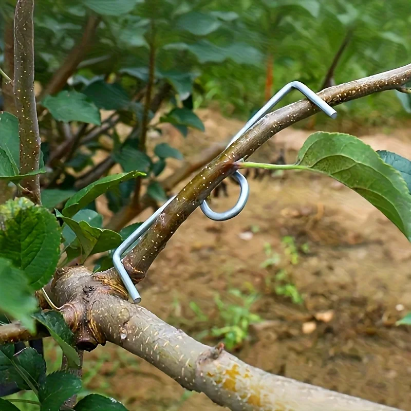50pcsFruit Tree Branch Bender Tool Kit, Manual Branch Bending Tools for Shaping & Spreading, Orchard Plant Growing Tools thumbnail 6