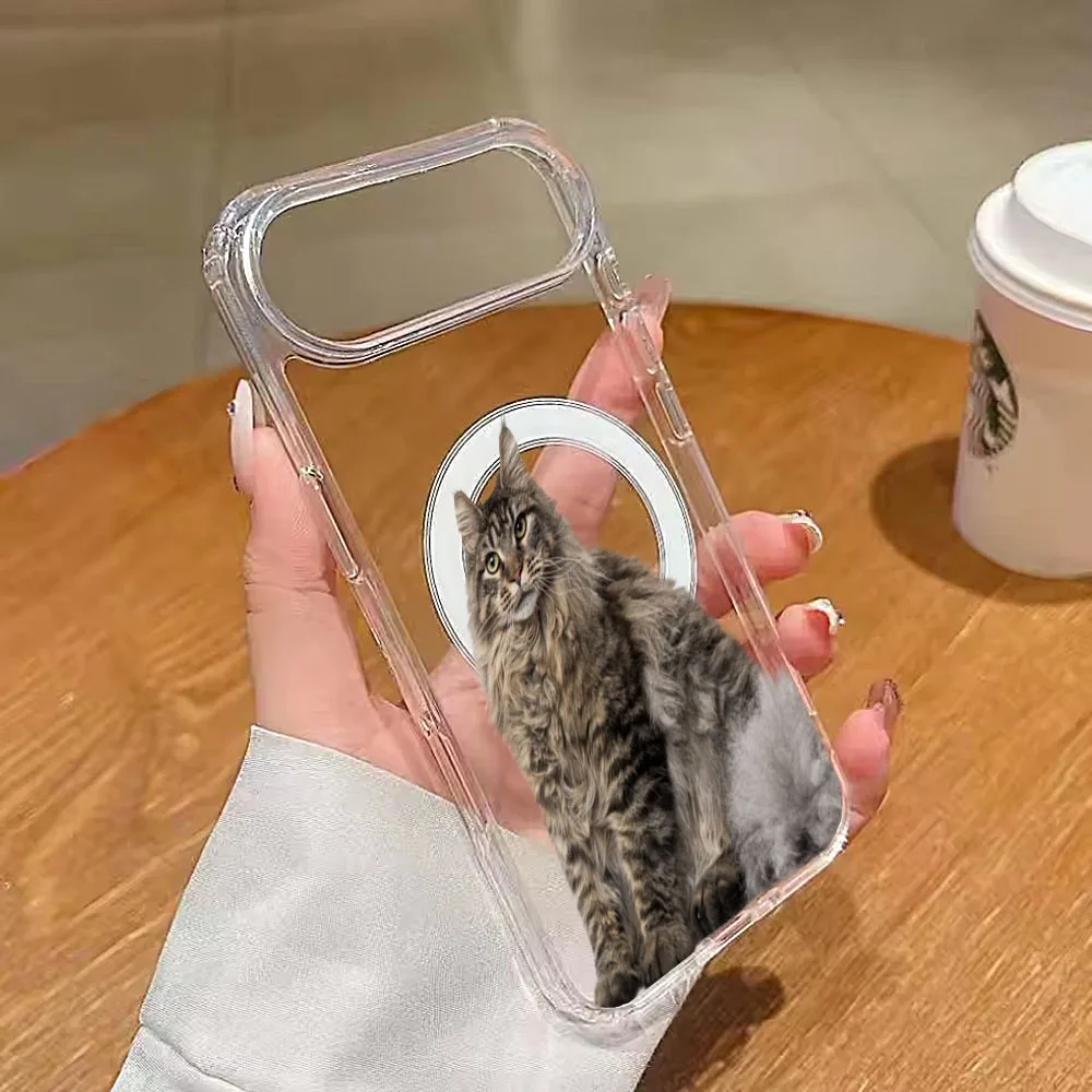 Custom Magnetic Case for iPhone 17 Pro Max 16 15 14 Plus 12 13 Mini 17Air XR SE X XS Transparent Case thumbnail 6