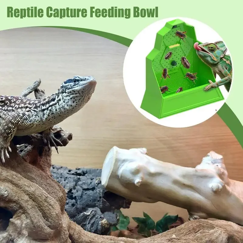 Reptile Suction Cup Feeder Anti-Escape Insect Food Dish Bowl For Snake Frog Tortoise Bearded Dragon Spider Amphibian thumbnail 4