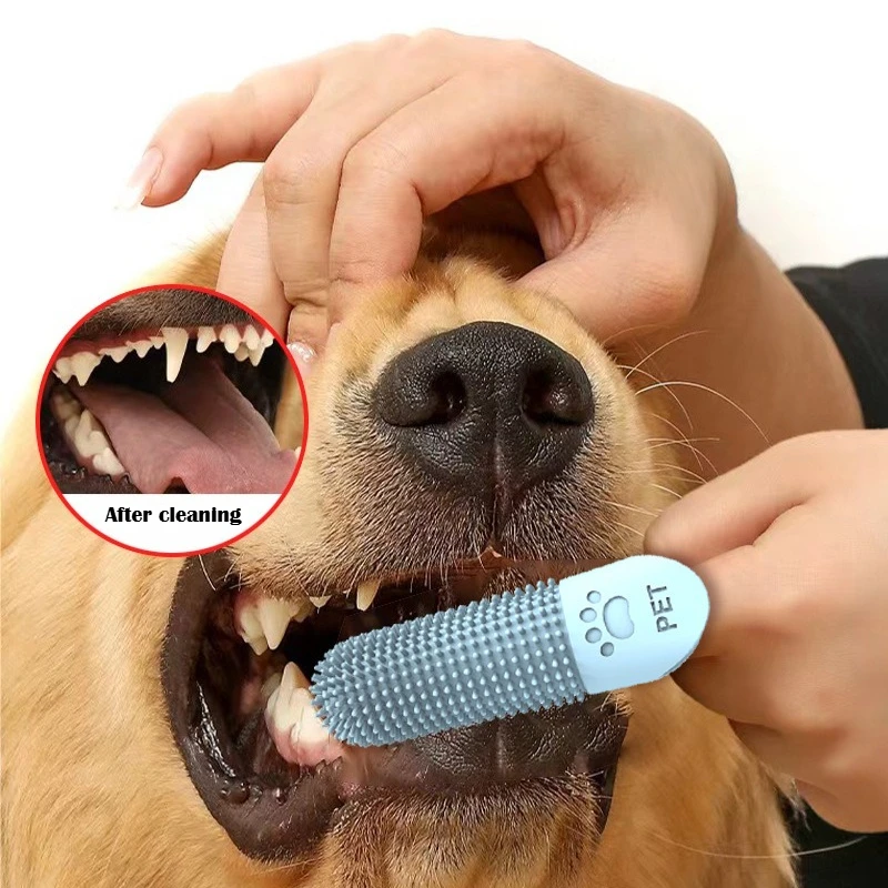 1/2Pcs Soft Silicone Dog Toothbrush 360° Finger Toothbrush for Dogs Cats Durable Pet Finger Brush Tooth Cleaning Tool thumbnail 4