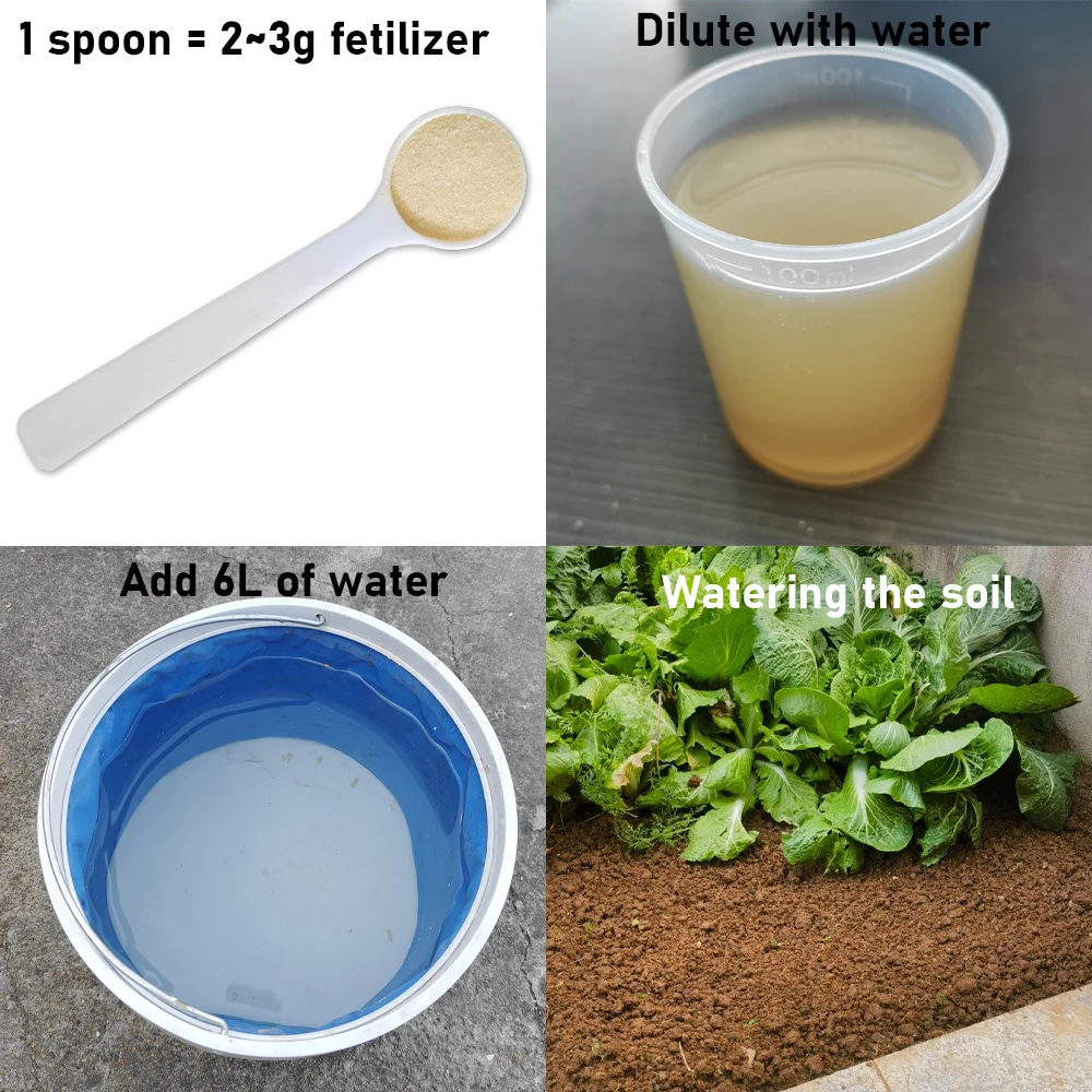 10g Chitosan Oligosaccharide Green Microbial Organic Fertilizer For Home Garden thumbnail 3