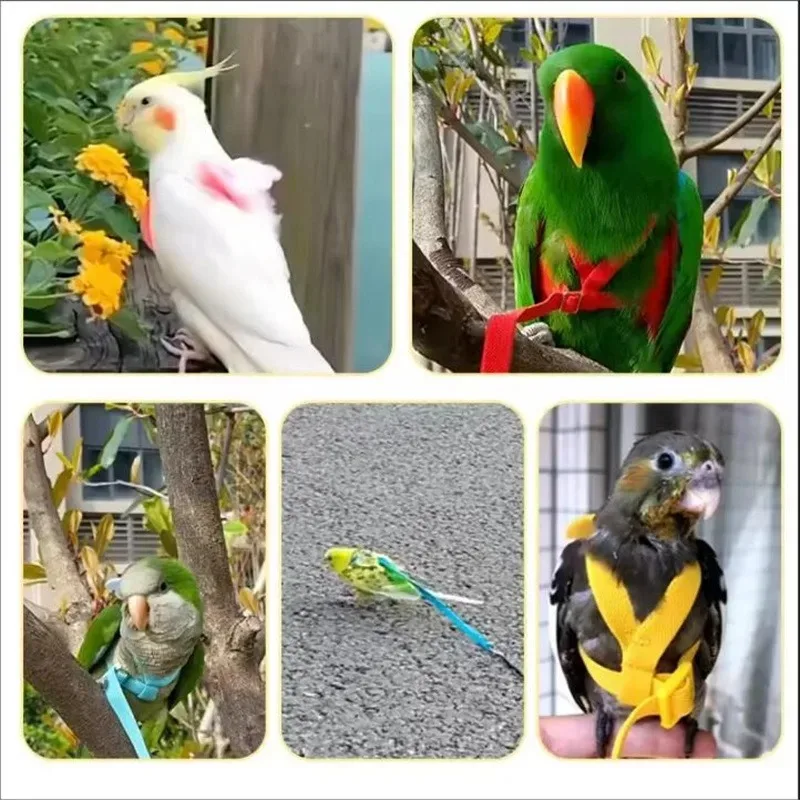Birds Supplies  Parrot Bird Harness Leash Set Anti-bite Training Harness Parrots Outdoor Flying Rope Cockatiel Small thumbnail 5