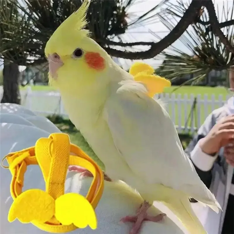 Birds Supplies  Parrot Bird Harness Leash Set Anti-bite Training Harness Parrots Outdoor Flying Rope Cockatiel Small thumbnail 2