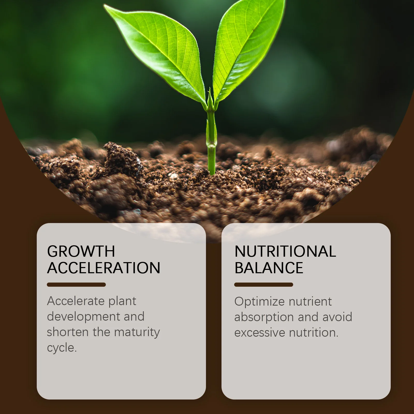 Soil Activator Universal Gentle Granular Fertilizer Fruit and Vegetable Planting Controlled-Release Fertilizer Green Plant Ferti thumbnail 5