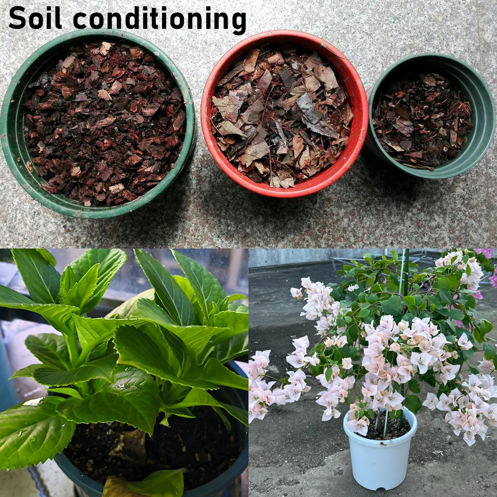 100g Bacillus Subtilis 100 Billion CFU Agricultural Microbial Fertilizer Boosts Soil Activity Promotes Stronger Healthier Crops thumbnail 4