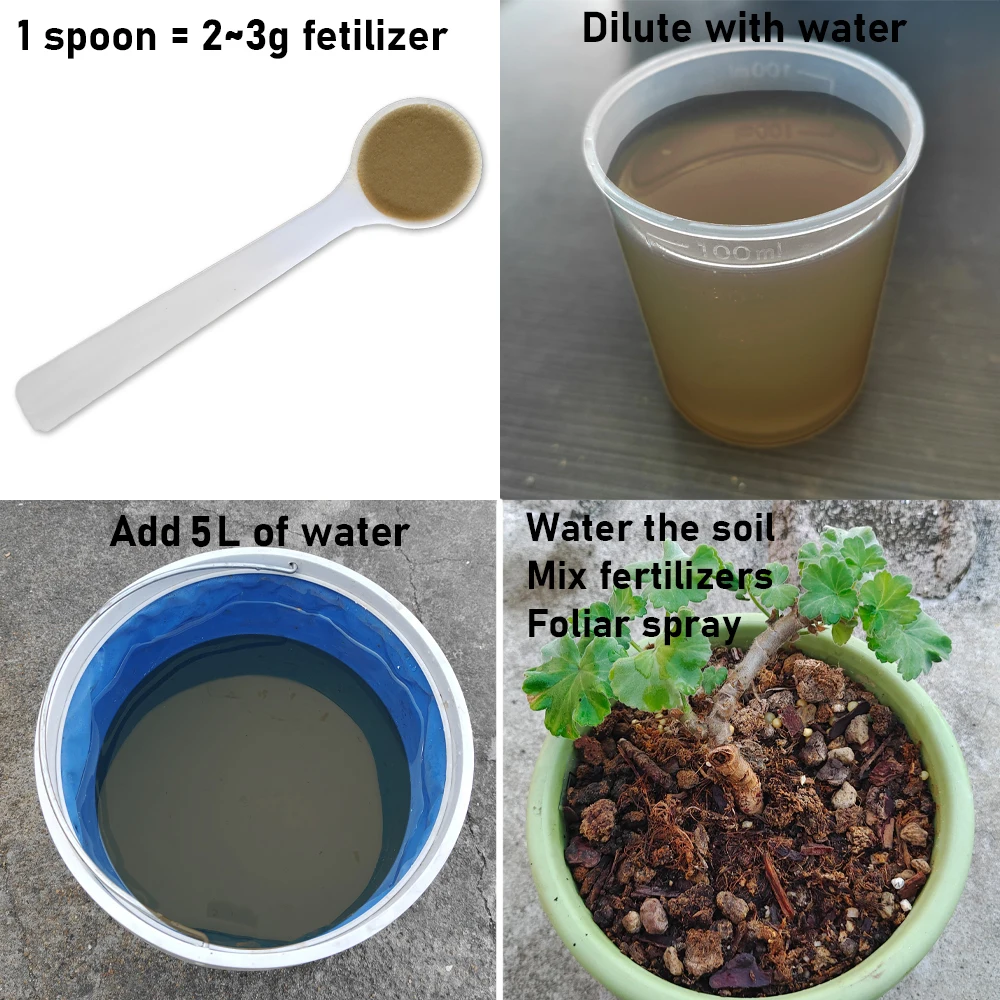 100g Bacillus Subtilis 100 Billion CFU Agricultural Microbial Fertilizer Boosts Soil Activity Promotes Stronger Healthier Crops thumbnail 3