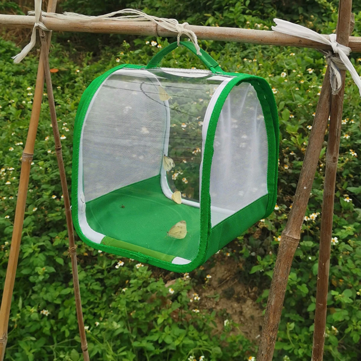 2026 360 degree fully transparent observation insect cage portable folding butterfly cage feeding insect cage thumbnail 4