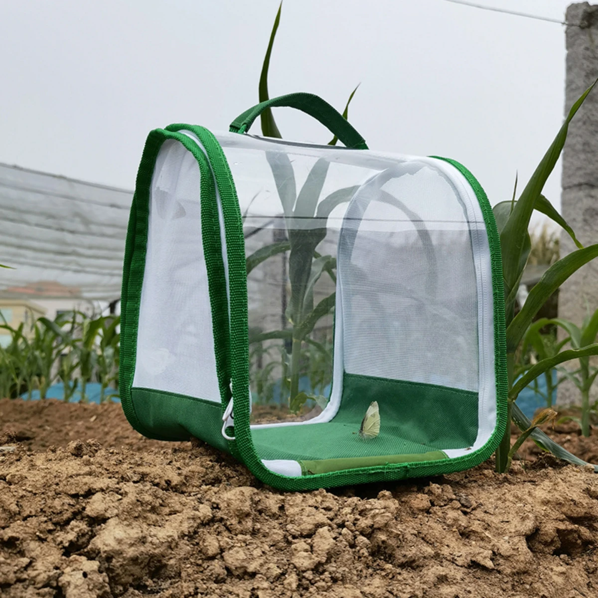 2026 360 degree fully transparent observation insect cage portable folding butterfly cage feeding insect cage thumbnail 3