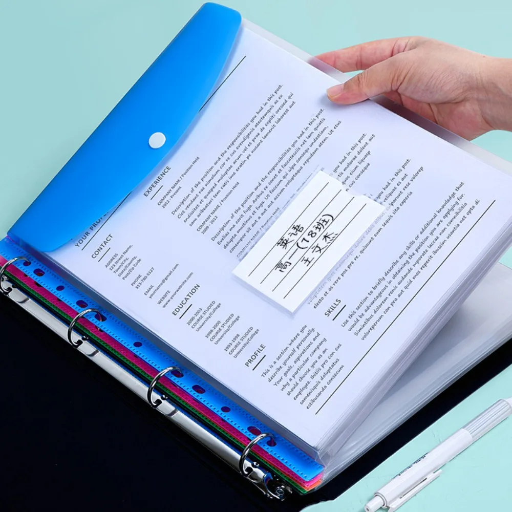 New PP A4 File Folders 4 Hole Waterproof Binder Folders D-Shaped Binder Display Book School Supplies Filing Products thumbnail 5
