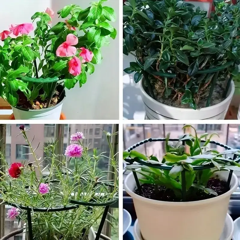 Plant Support Stakes Semicircle Trellis for Potted Plants Bonsai Vine Flower Support Fixed Rod Clips Gardening Tools 6-36Pcs thumbnail 6